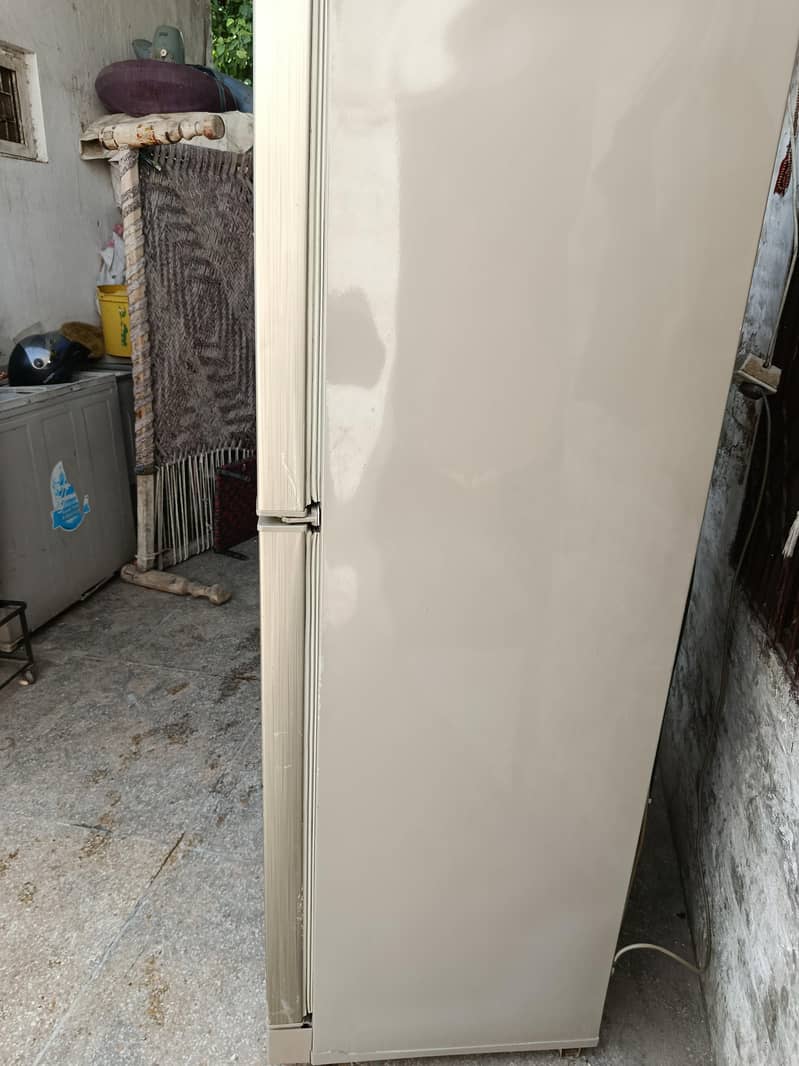 PEL FRIDGE 1