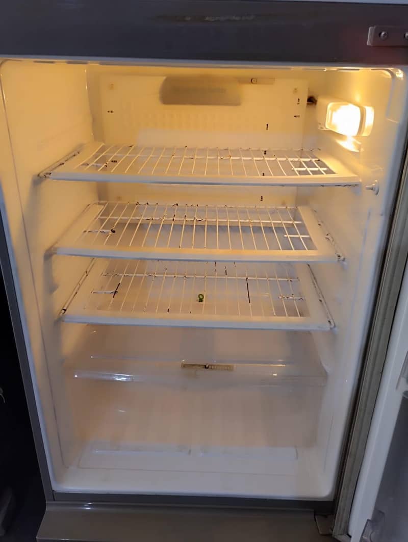 PEL FRIDGE 5