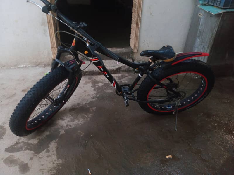 big tyar cycle 1