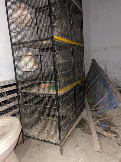 Cage for Hen and Parrot