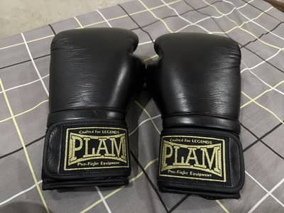 Brand New Boxing Gloves