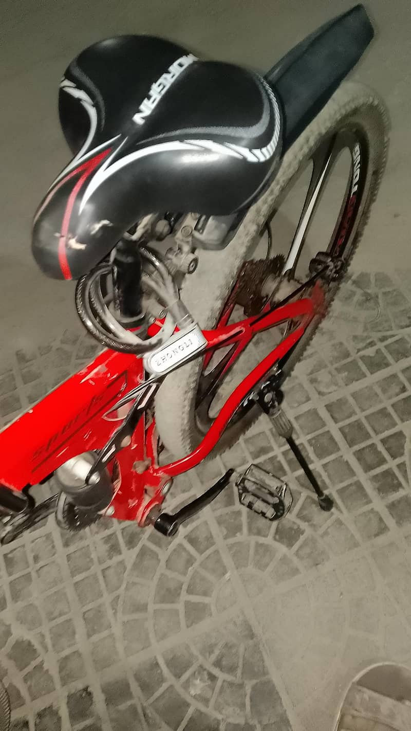 Morgan cycle 6