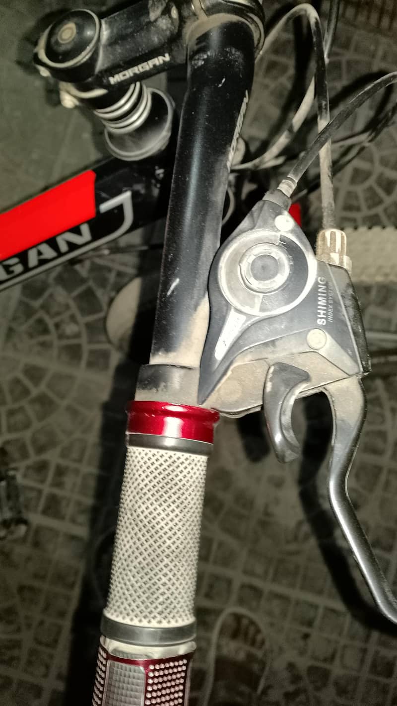 Morgan cycle 9