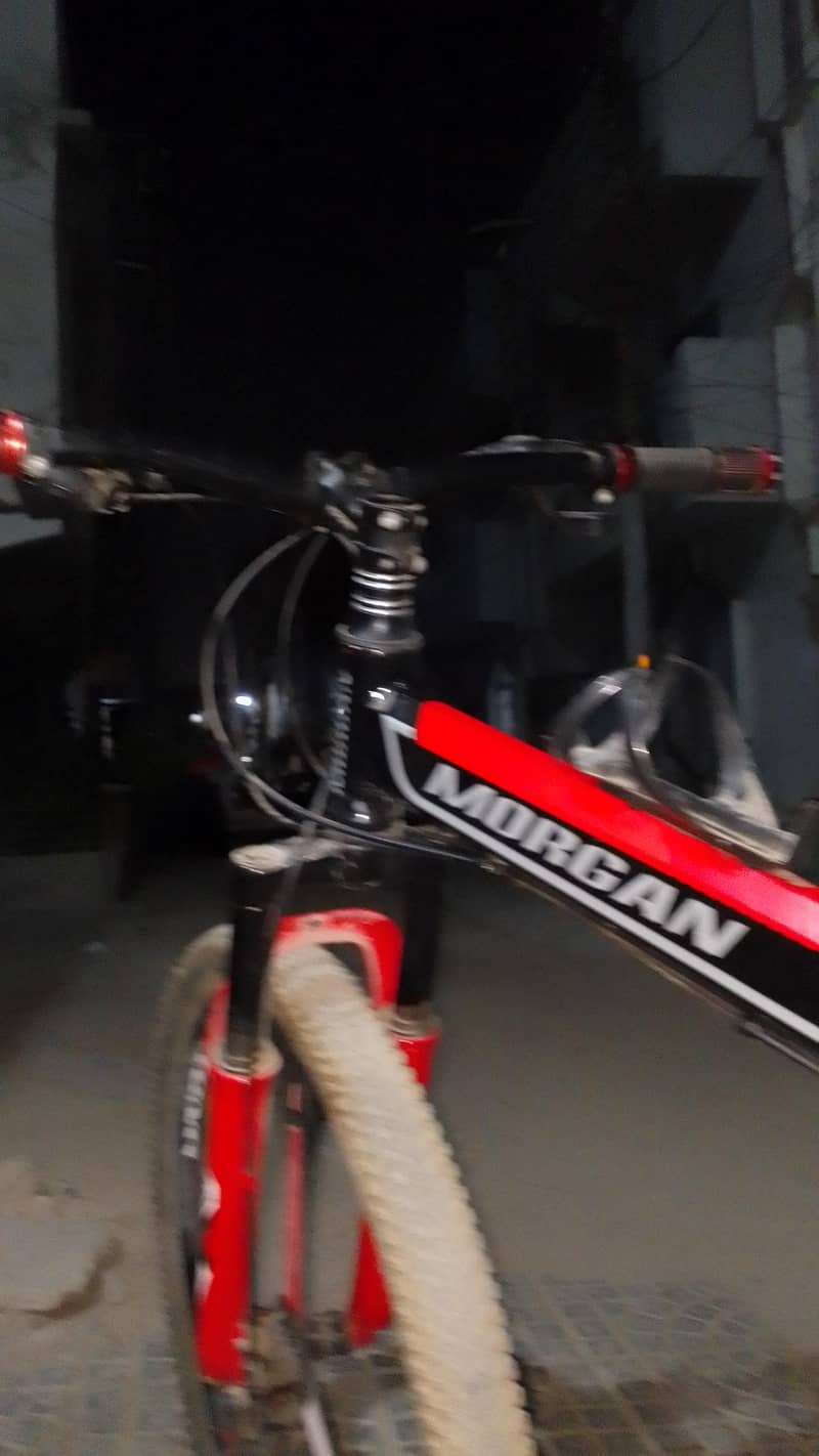 Morgan cycle 14