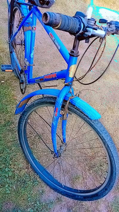 Full Size Blue&Black Phoenix Mountain Cycle With Gears & glow numbers.