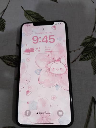 xs max pta approved