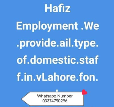 Hafiz Employment