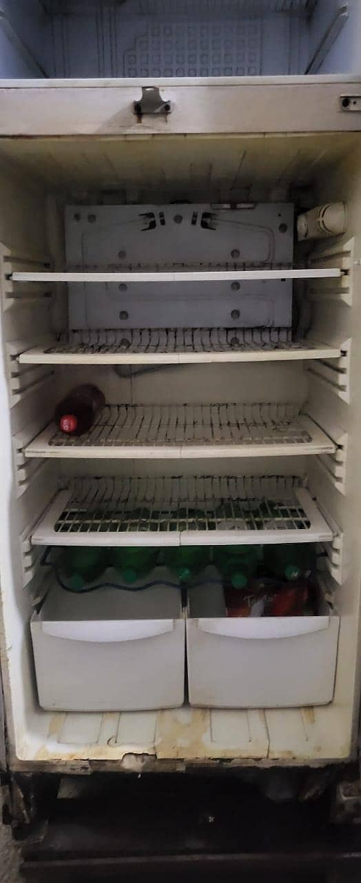 Pell refrigerator 11