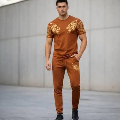 2pcs Men,s track suits