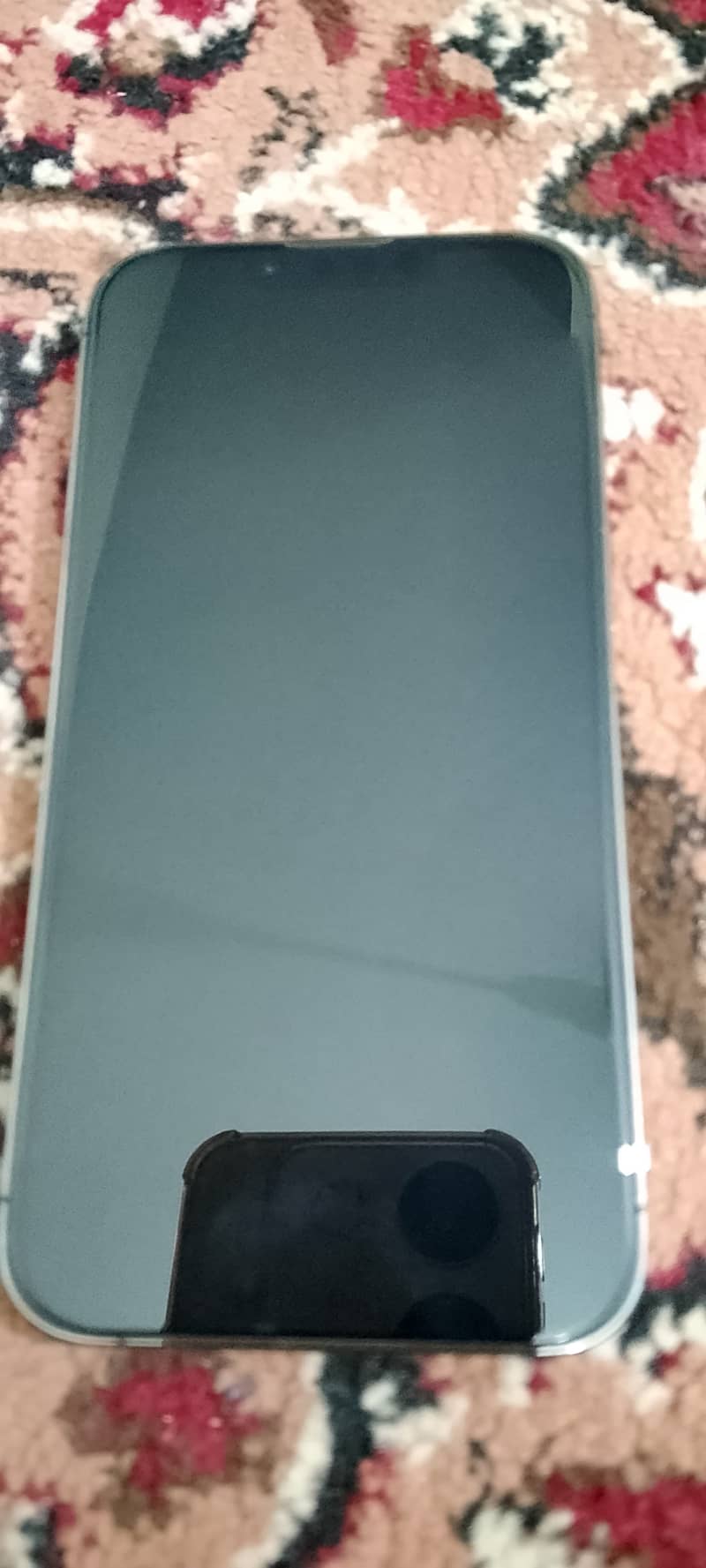 13 pro 2