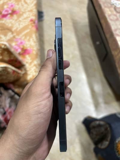 APPLE:  IPHONE 12 PRO MAX