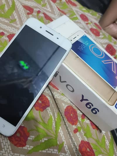 Vivo y66