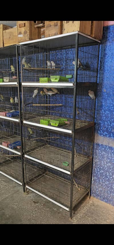 Birds cages