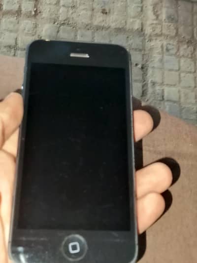 iphone 5s