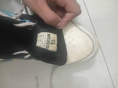 CA cricket spikes