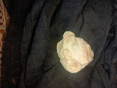 A set of 15 rocks and sea shells