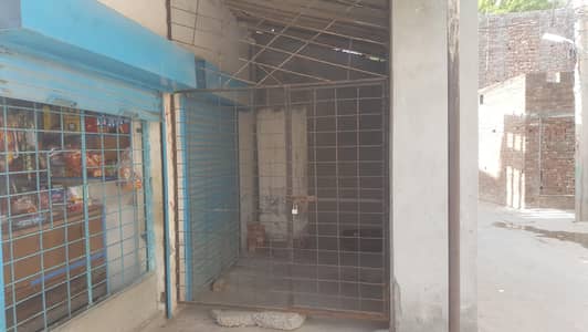 jangla for kitten and home
