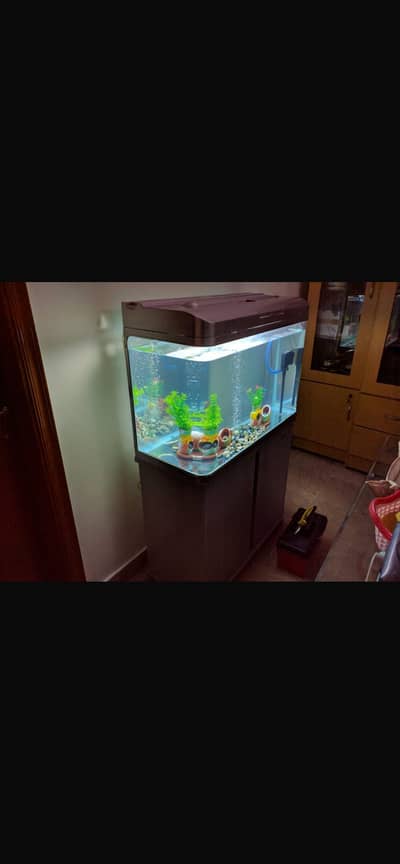 Fish Aquarium Imported China