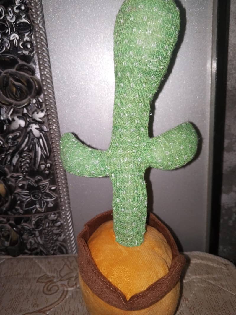 cactus talking 1