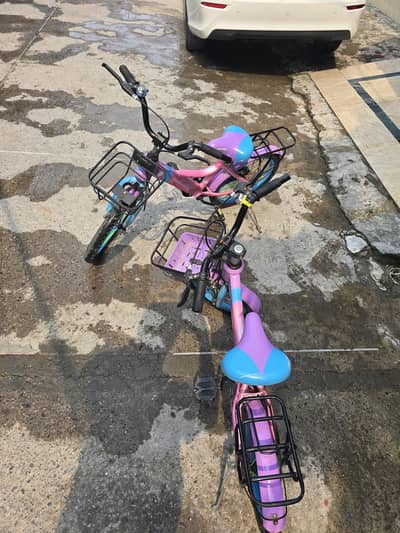Chinese Imported Bicycles