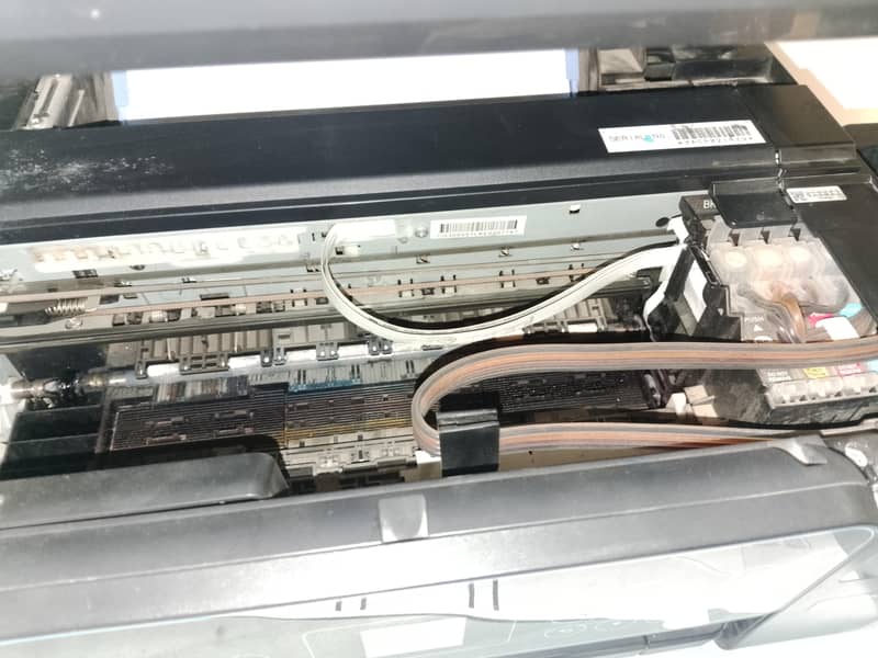 XP. 3155 2