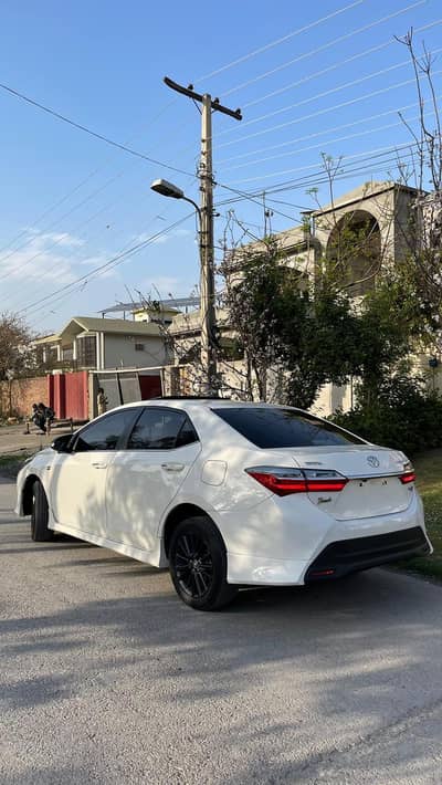 grande 20 model