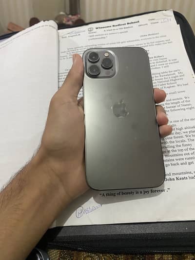 Iphone 12 Pro Max