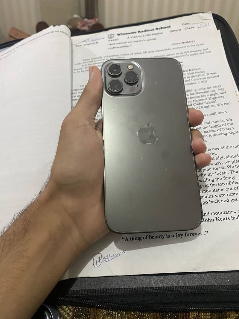 Iphone 12 Pro Max 0