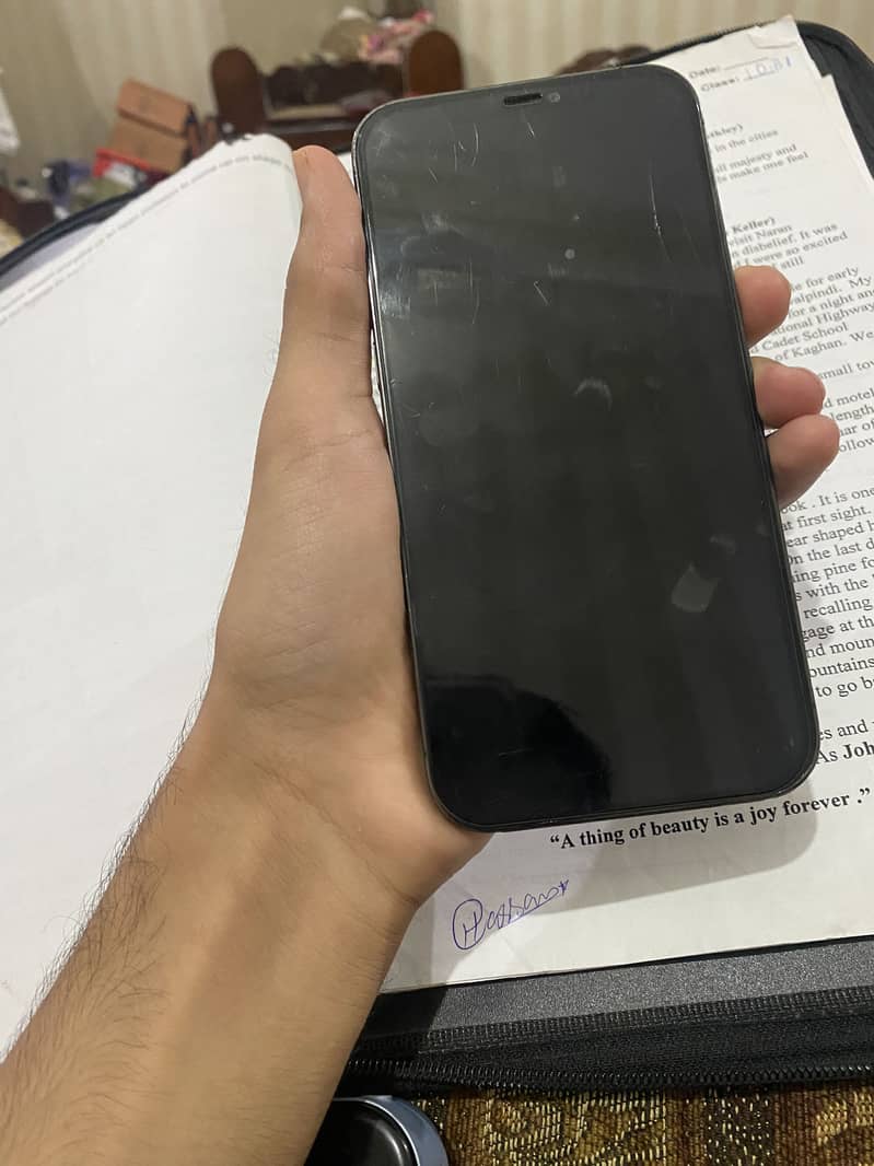 Iphone 12 Pro Max 4