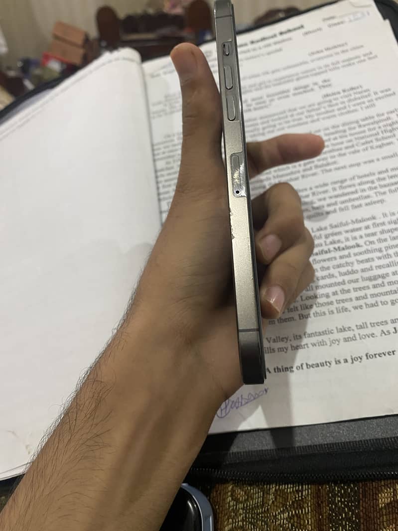 Iphone 12 Pro Max 5
