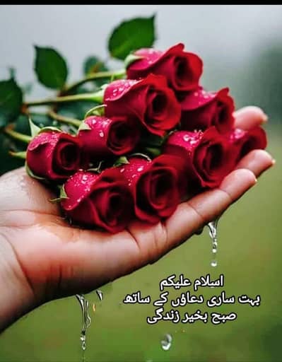 سرگودہ کچہری افس بوائے کی ضرورت ہے جو مکمل افس کی دیکھ بھال کر سکے