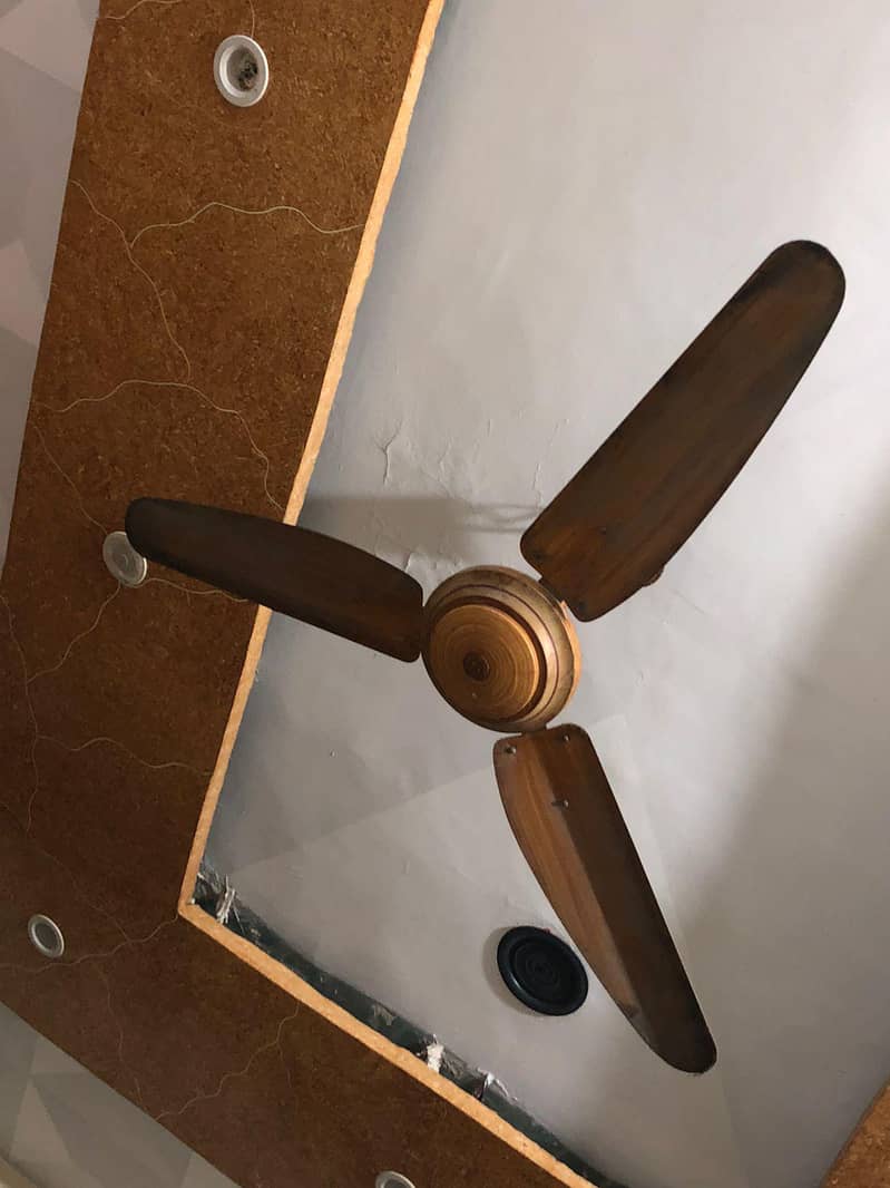Ceiling Fan 3