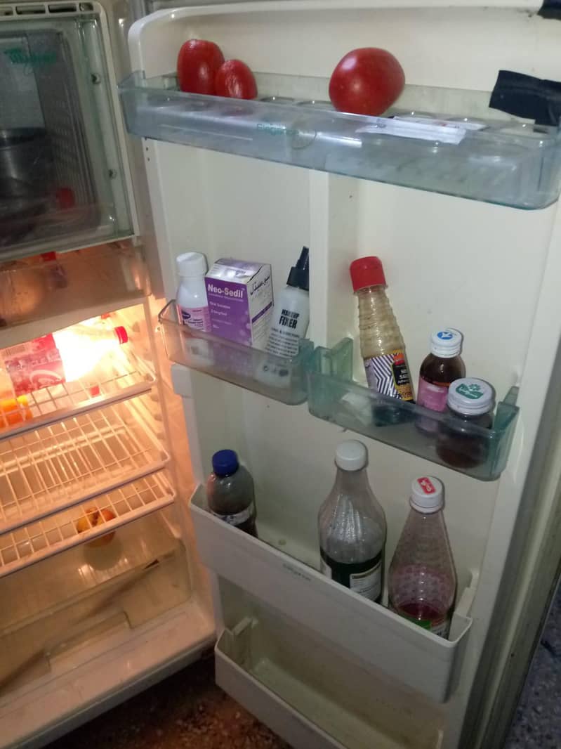 Fridge 1