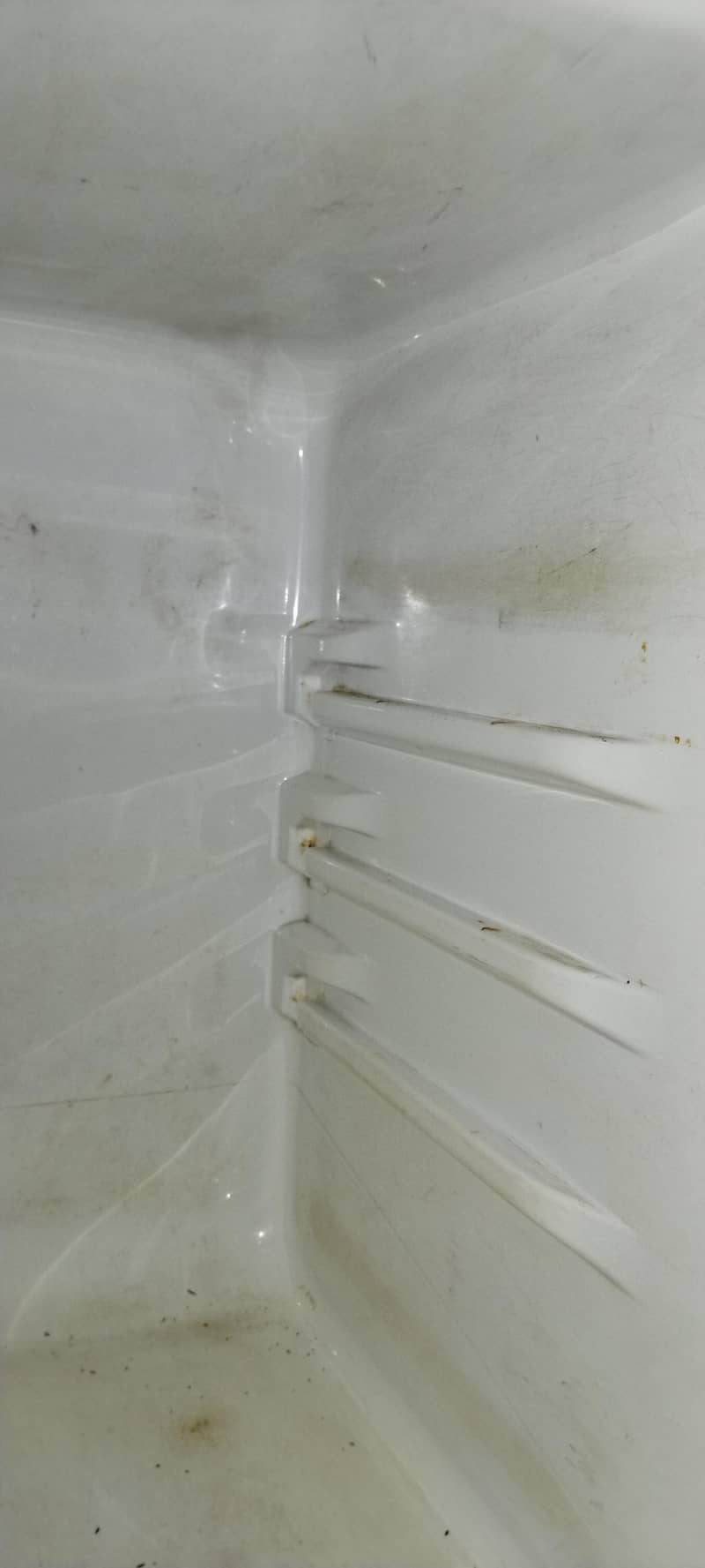 freezer 2