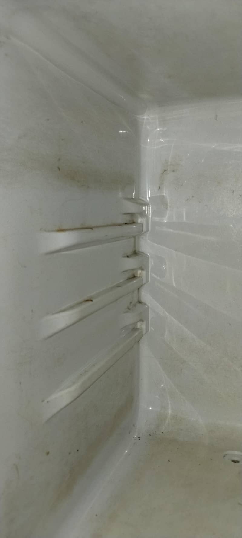 freezer 3