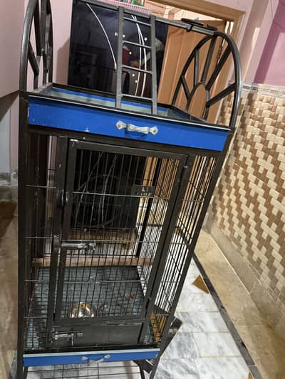 Cage for African gray and macaw parrot