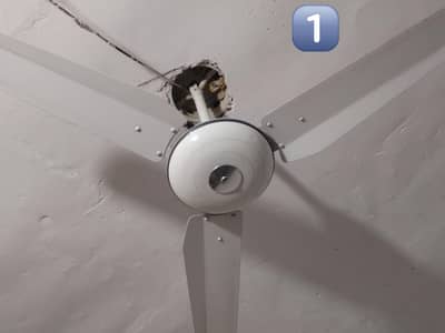 Ceiling Fans