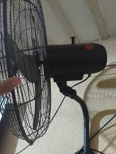fan black in colour
