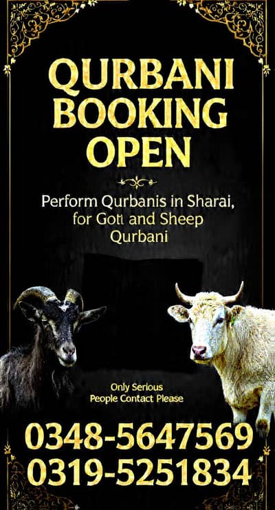 qurbani ka Lia qasai available ha