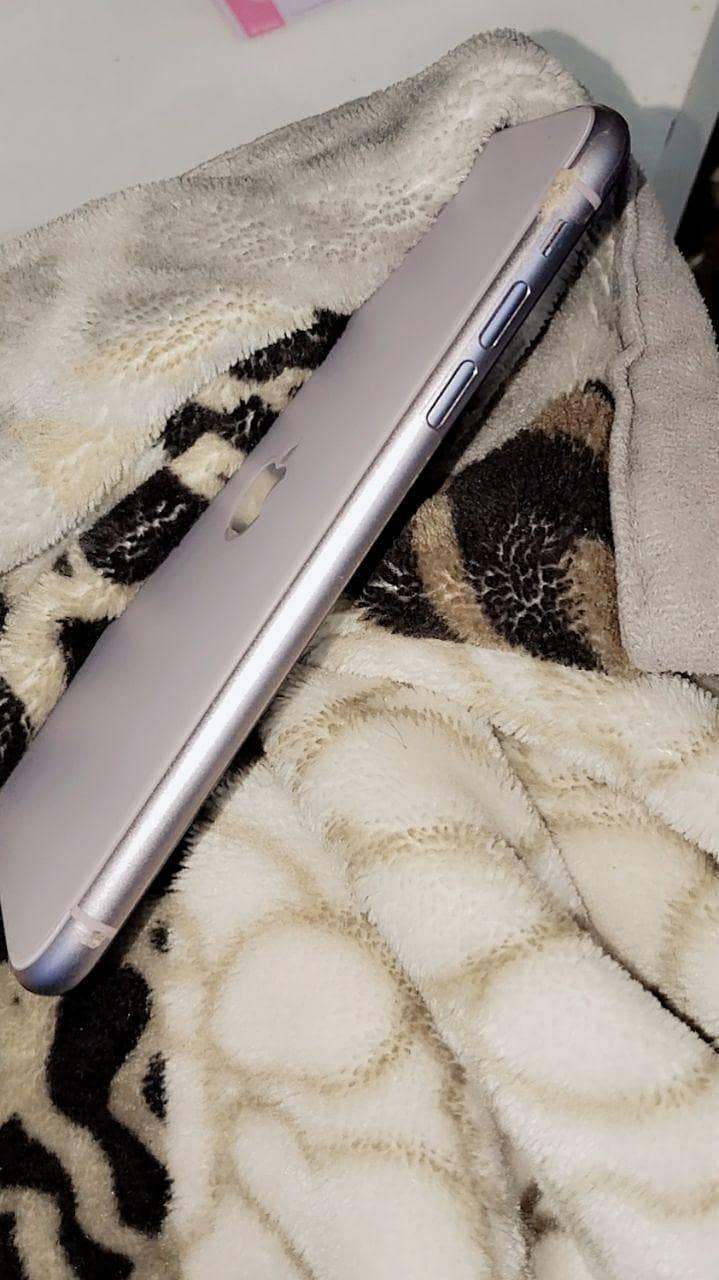 iphone 11 3