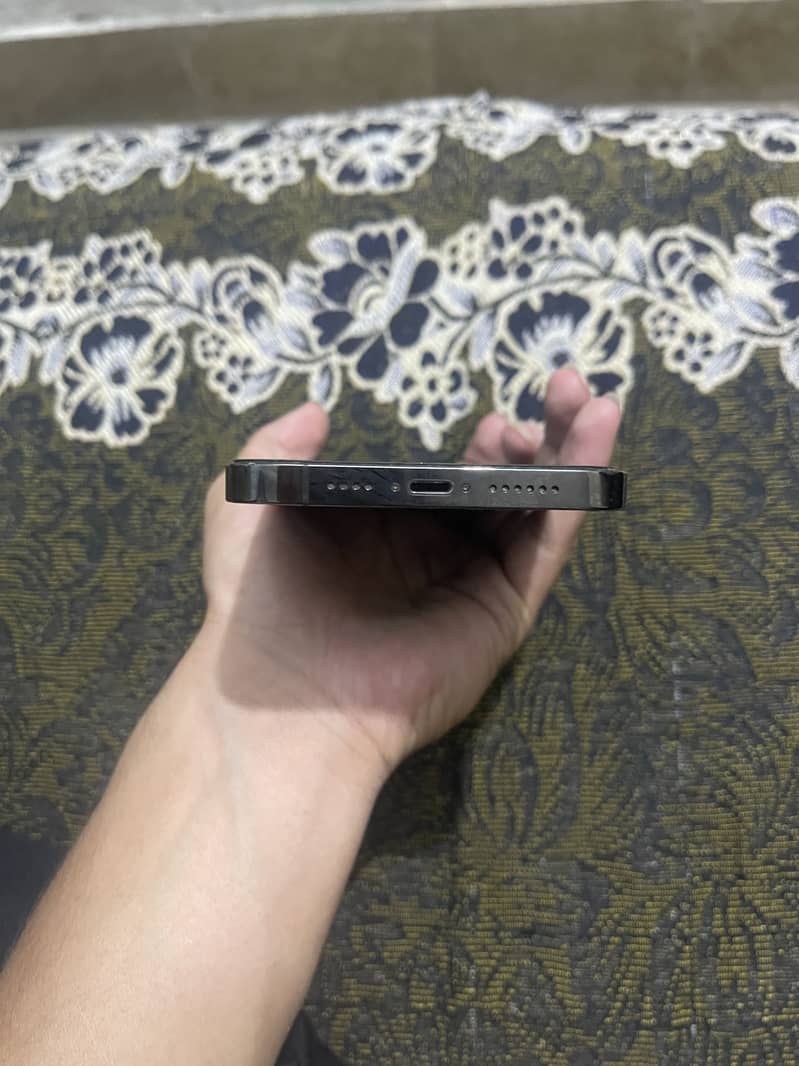 iphone 13 pro max 1