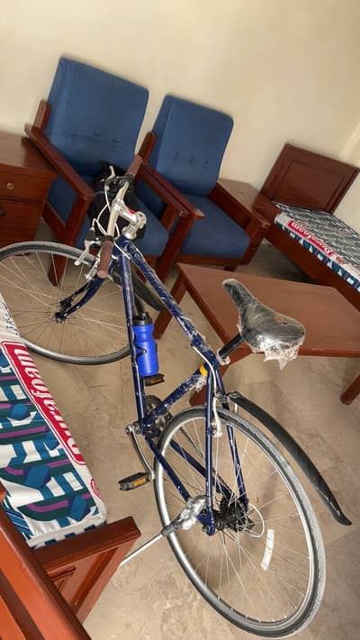 HYBRID JAPANESE BIKE