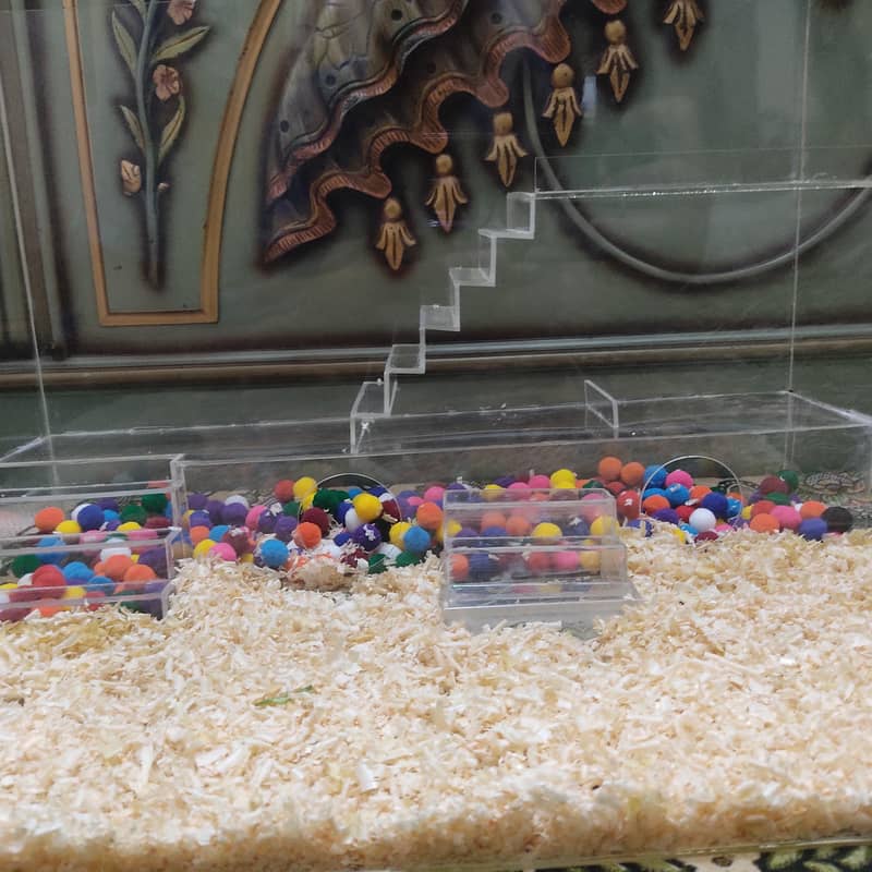 PETS HOUSE 2