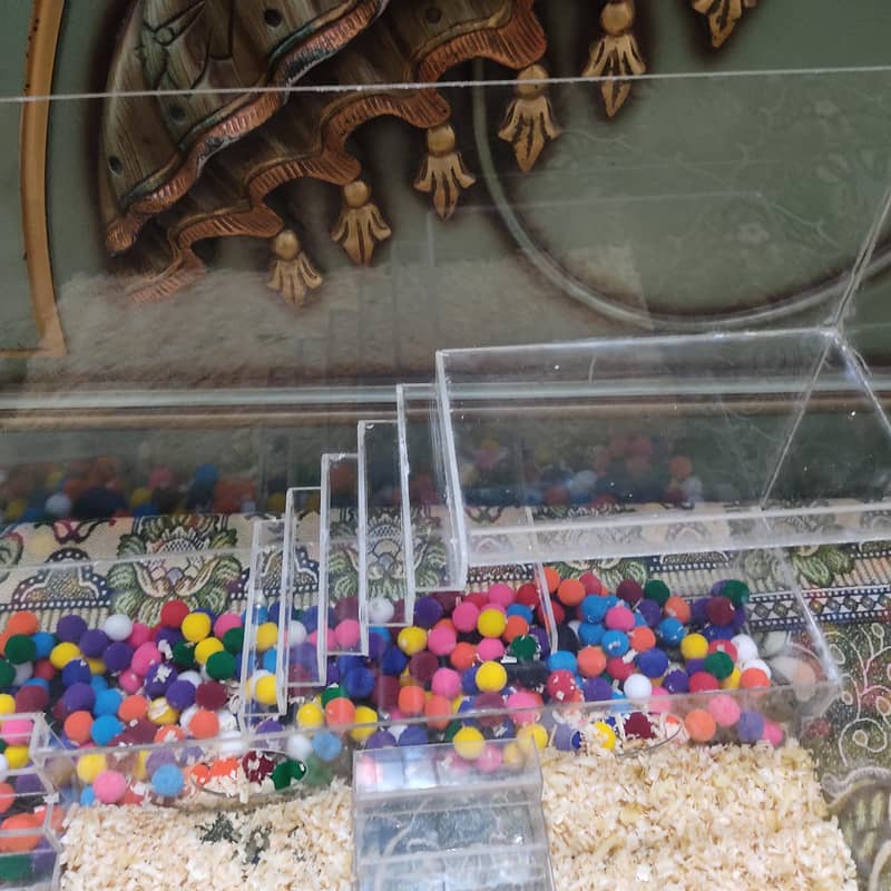 PETS HOUSE 3