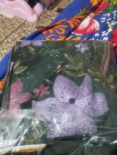ladies clothes