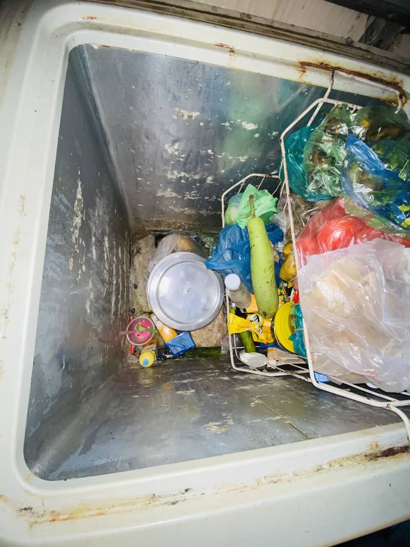 D Fridge 1