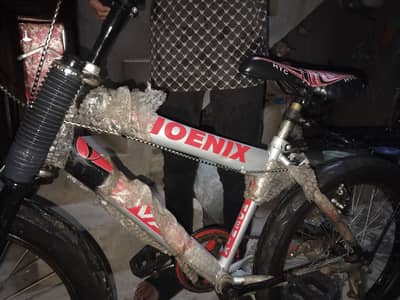 phoenix cycle