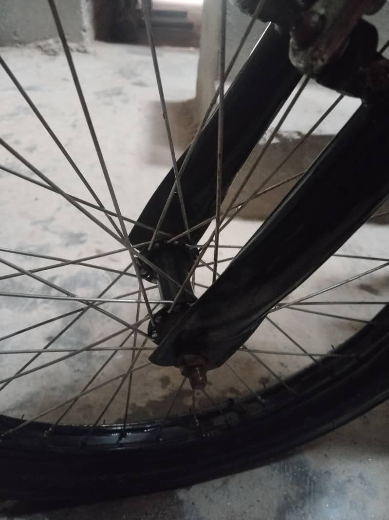 phoenix cycle 4