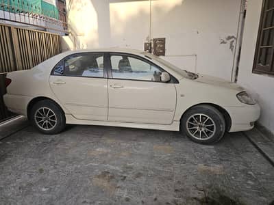 corolla  Dumba shape