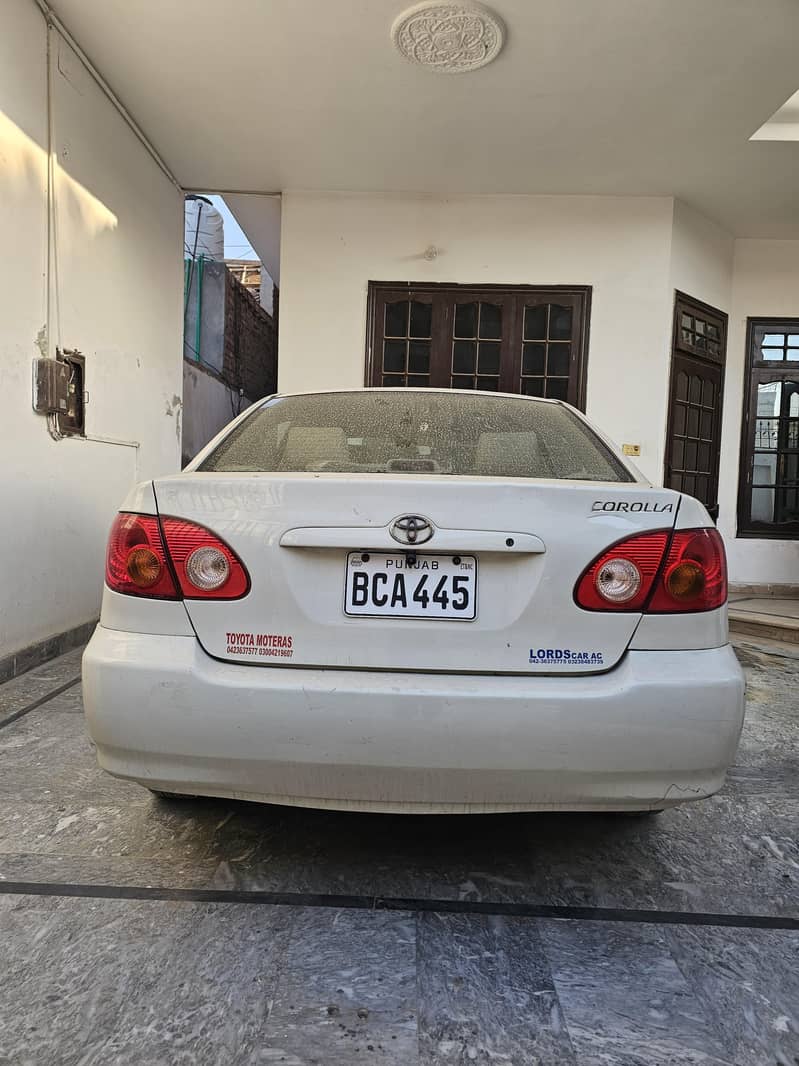 corolla  Dumba shape 2